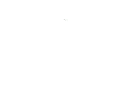Bald Eagle Horn