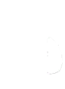 Star Puppy Plushie