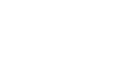 The Bull v1